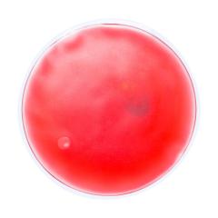 tepeln&yacute; pol&scaron;t&aacute;řek Relief