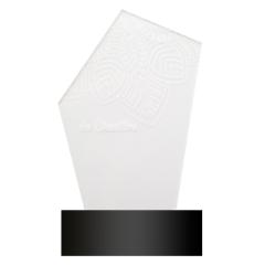 Trofej s LED světlem Ledify