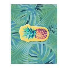 Krytka na web kameru ShapeCam