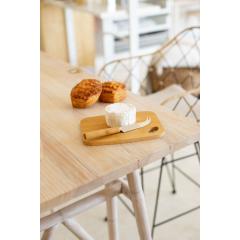 Sada na sýr Taleggio