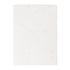 Poznámkový blok se semínky Semeno Note