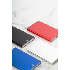 Power banka RaluFour