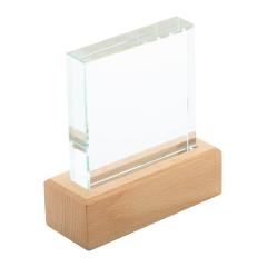 Trofej Rectofi