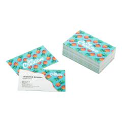 vizitky na zak&aacute;zku Visicard