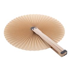 Vějíř Lolli