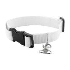 Obojek pro psa na zakázku Ziggy