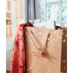 Dárková vánoční taška z kraftu SPARKLE