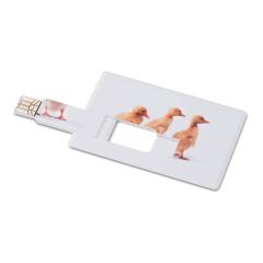 Creditcard. USB flash 4GB MEMORAMA