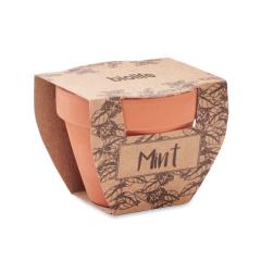 Semínka máty v  květináčku MINT POT