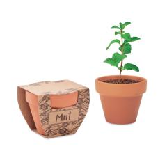Semínka máty v  květináčku MINT POT