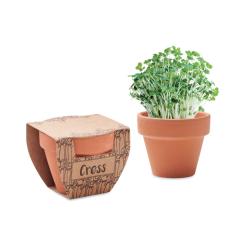 Semínka řeřichy v květináčku CRESS POT