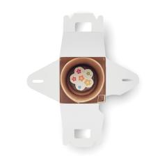 Sada semen ve tvaru domečku FULLHOUSE