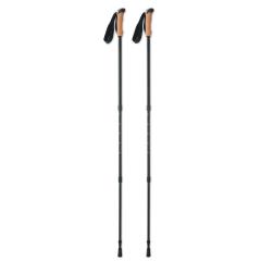 Hůlky pro nordic walking NOLE