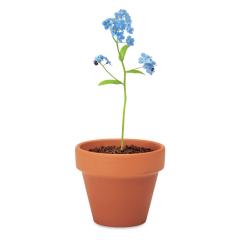 Terakotový květináč - pomněnka FORGET ME NOT
