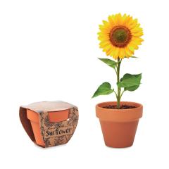Terakotový květináč slunečnice SUNFLOWER