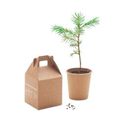 Set vyrobený z borovice GROWTREE™