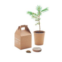 Set vyrobený z borovice GROWTREE™
