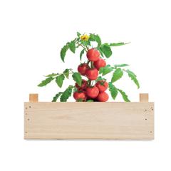 Rajčatový set v přepravce TOMATO