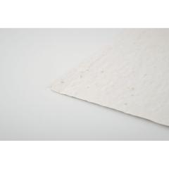 List A6 se semínky květin ASIDO