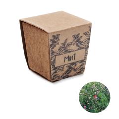 Sada na pěstování máty MINT KIT
