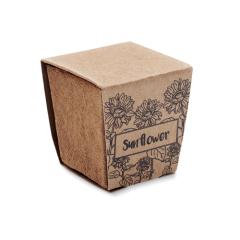 Sada na pěstování slunečnice SUNFLOWER KIT