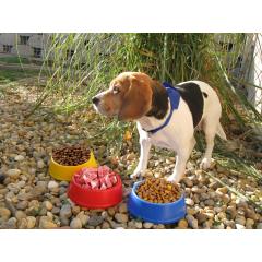 Miska pro psy Puppy