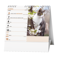  Stolní kalendář - IDEÁL - Kočky /s kočičími jmény/