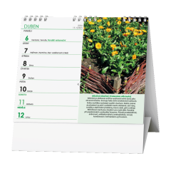  Stolní kalendář - IDEÁL - Léčivé rostliny
