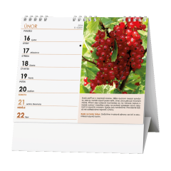  Stolní kalendář - IDEÁL - Zahrádkářský kalendář