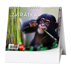  Stolní kalendář - IDEÁL - Zvířátka celého světa