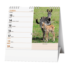 Stolní kalendář - IDEÁL - Zvířátka celého světa
