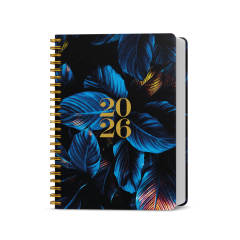  Denní diář - David - Twin - Modré listy