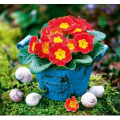  Slovenský kalendár Čaro domova - viazanka