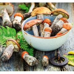  Slovenský kalendár Čaro domova - viazanka