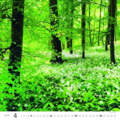  Kalendář Les