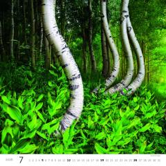  Kalendář Les