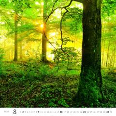  Kalendář Les