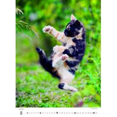  Kalendář Koťátka