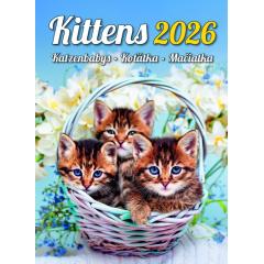  Kalendář Koťátka