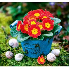  Kalendář Kouzlo domova - vázanka