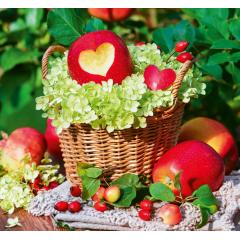  Kalendář Kouzlo domova - vázanka