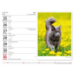  Kalendář Kočičky
