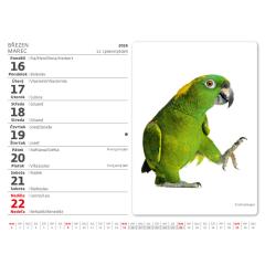  Kalendář Mazlíčci