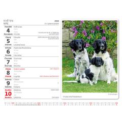  Kalendář Pejskové