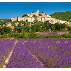  Kalendář Provence - vázanka