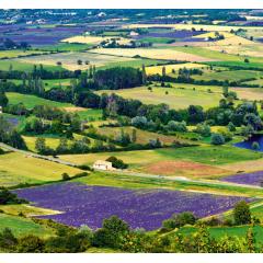 Kalendář Provence - vázanka