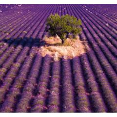  Kalendář Provence - vázanka