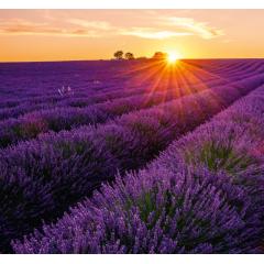  Kalendář Provence - vázanka