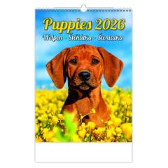  Kalendář Štěňátka