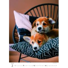  Kalendář Štěňátka